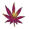 Animated Weed